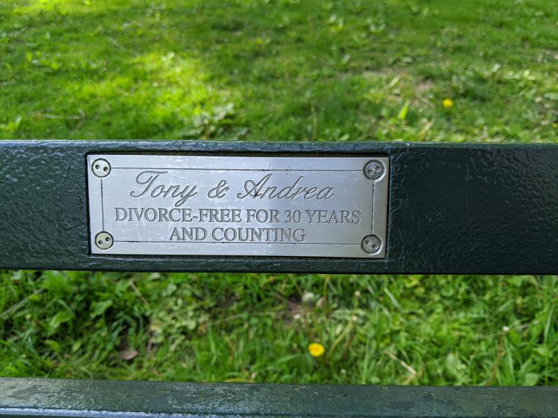 I saw this bench in Central Park