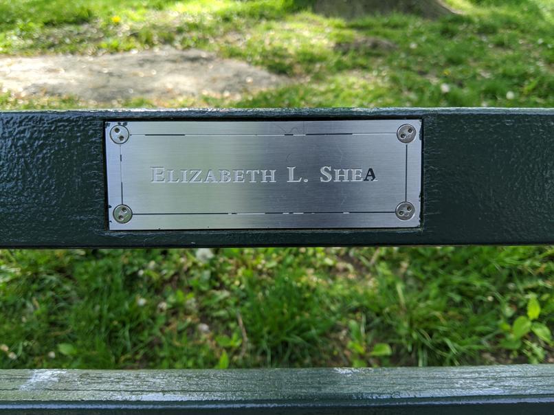 I saw this bench in Central Park