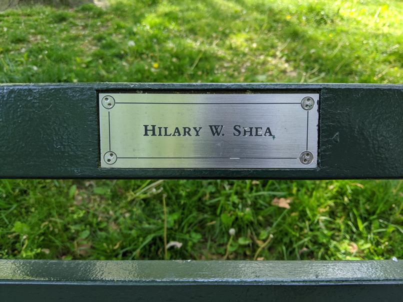 I saw this bench in Central Park