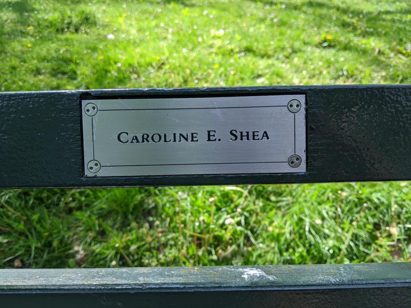 I saw this bench in Central Park