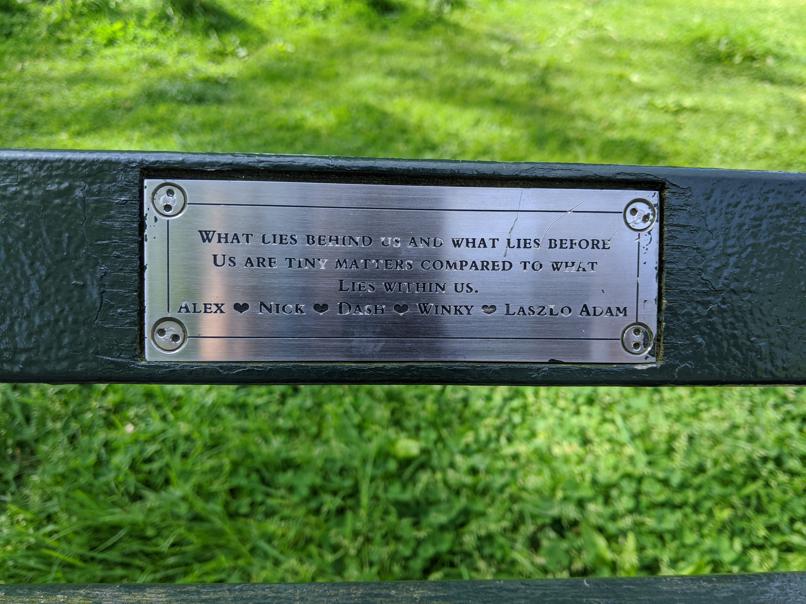 I saw this bench in Central Park