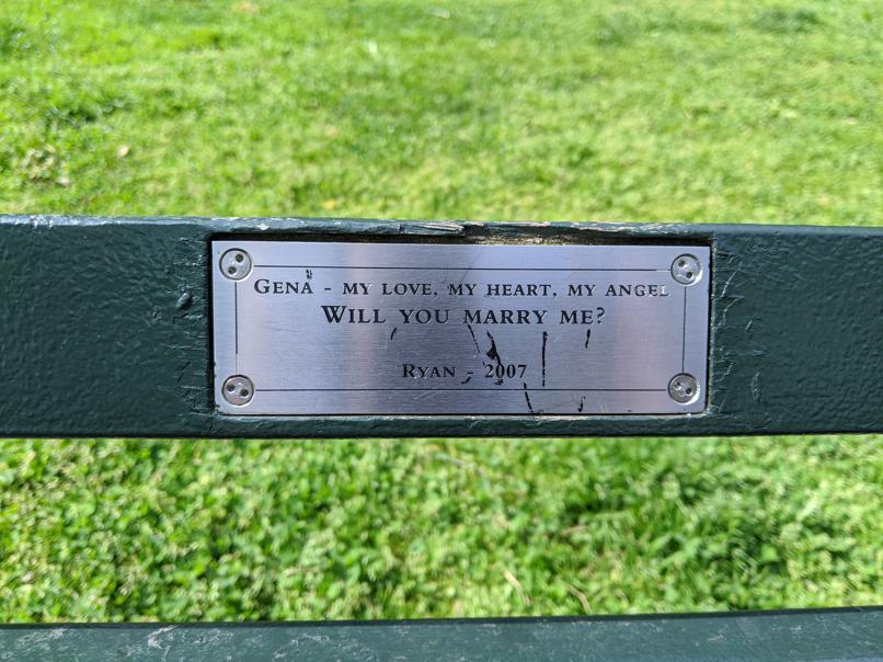 I saw this bench in Central Park