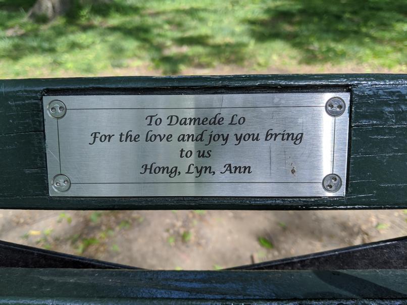 I saw this bench in Central Park