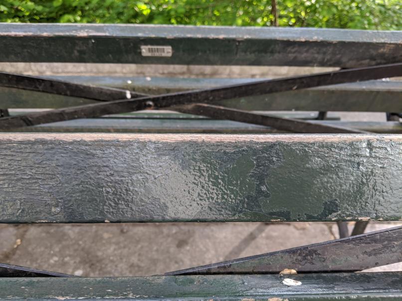 I saw this bench in Central Park