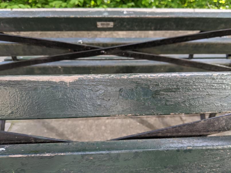 I saw this bench in Central Park