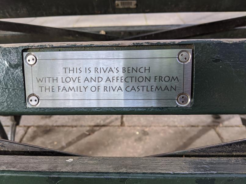 I saw this bench in Central Park