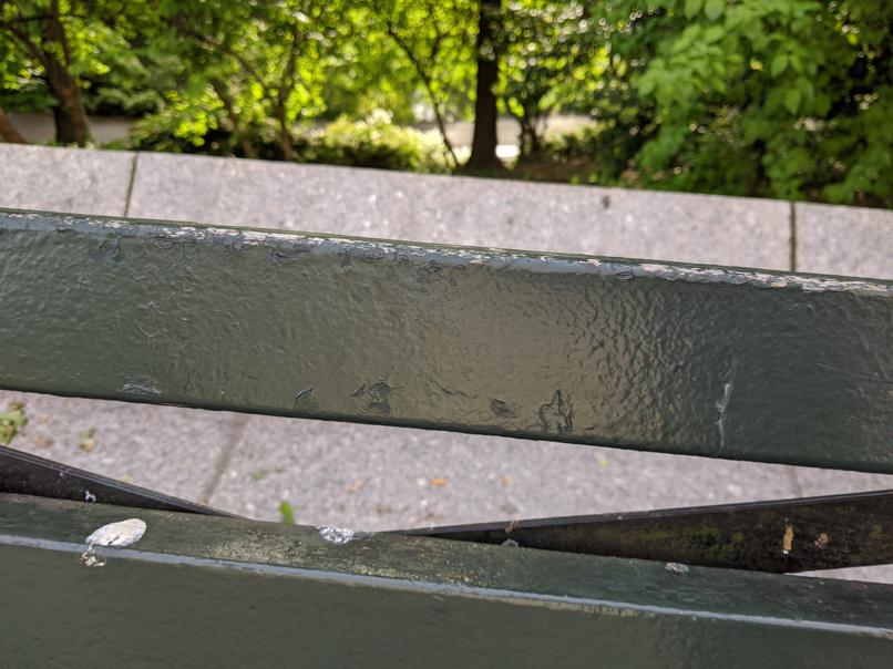 I saw this bench in Central Park