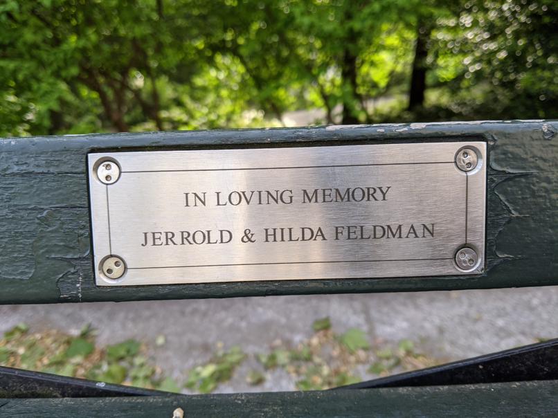 I saw this bench in Central Park