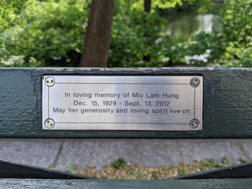 I saw this bench in Central Park