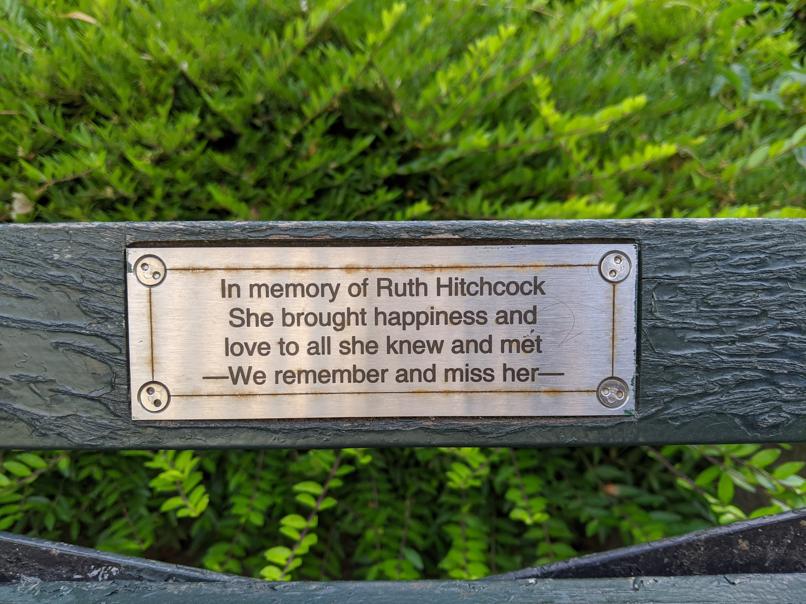 I saw this bench in Central Park