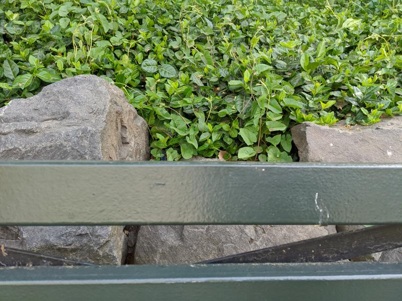 I saw this bench in Central Park