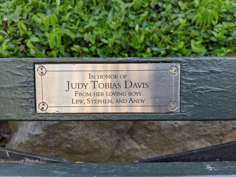 I saw this bench in Central Park