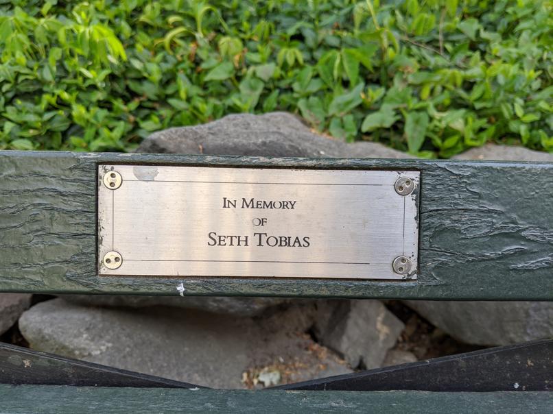 I saw this bench in Central Park