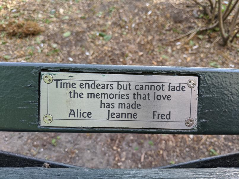 I saw this bench in Central Park