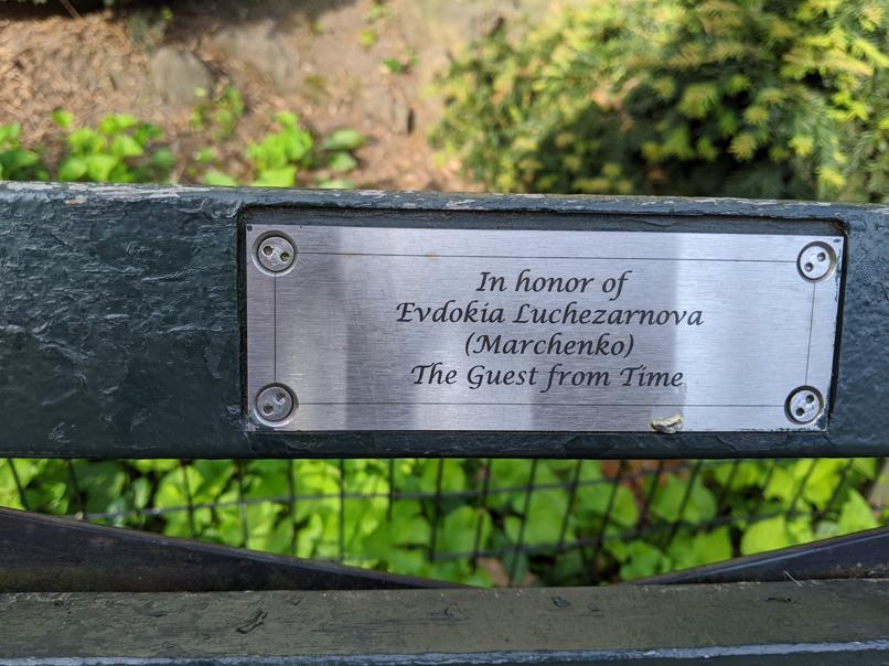 I saw this bench in Central Park