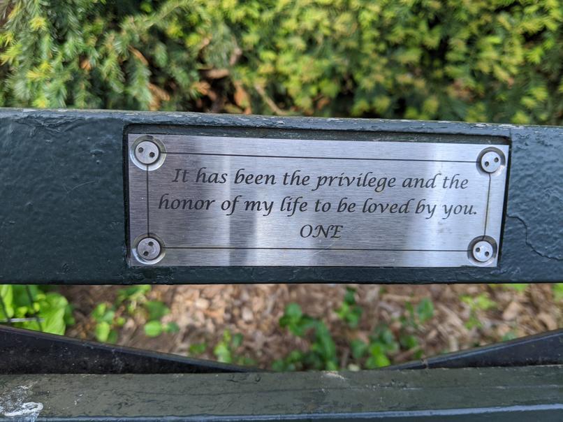 I saw this bench in Central Park