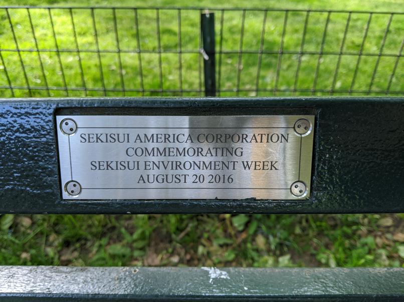 I saw this bench in Central Park