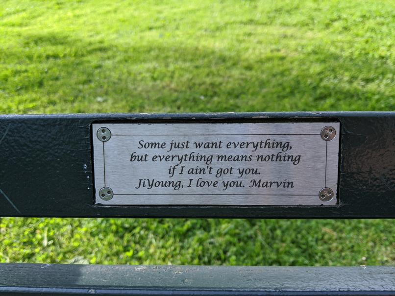 I saw this bench in Central Park