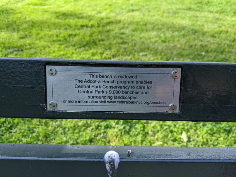 I saw this bench in Central Park