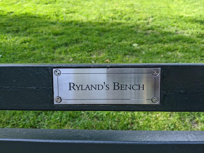 I saw this bench in Central Park