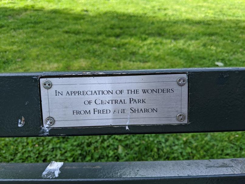 I saw this bench in Central Park