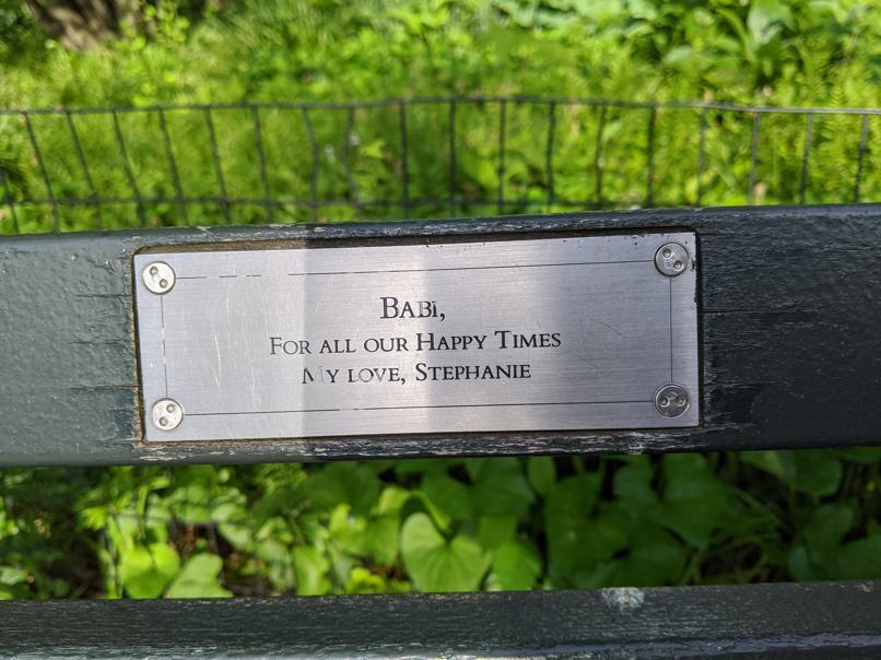 I saw this bench in Central Park