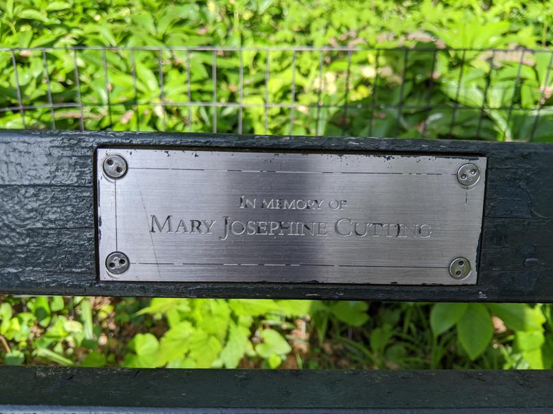 I saw this bench in Central Park