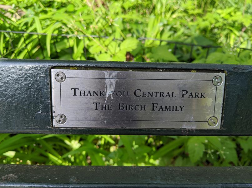 I saw this bench in Central Park