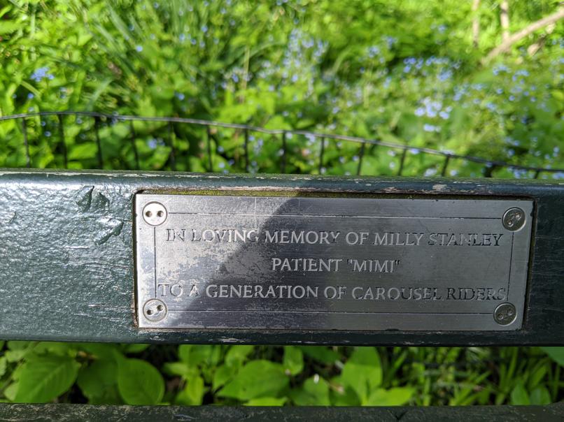 I saw this bench in Central Park