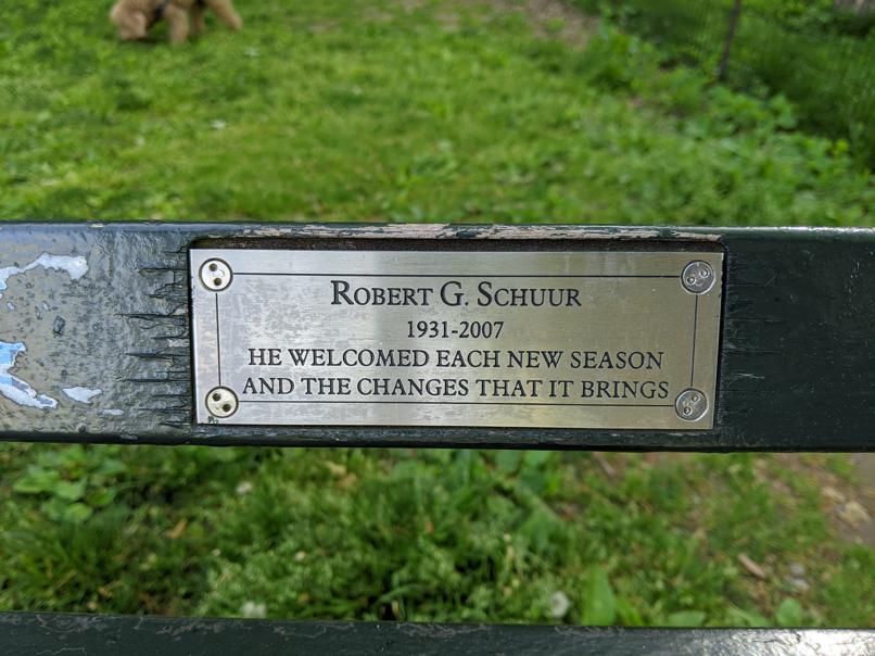 I saw this bench in Central Park