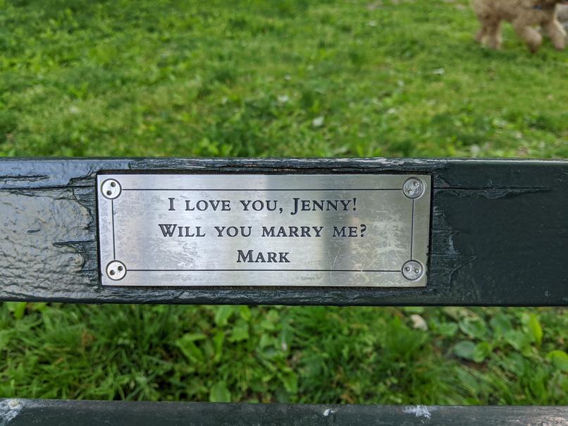 I saw this bench in Central Park