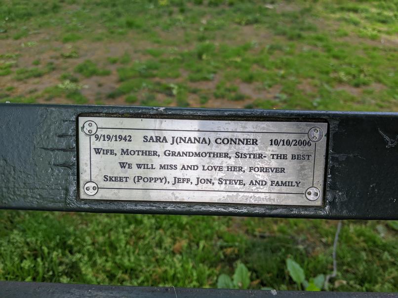 I saw this bench in Central Park