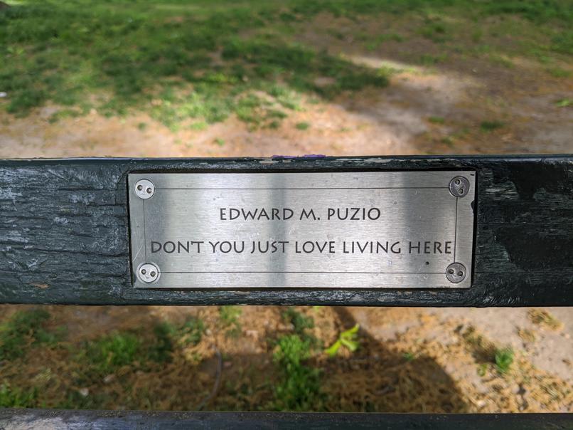 I saw this bench in Central Park