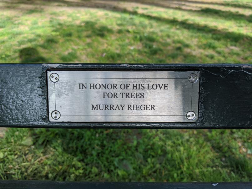 I saw this bench in Central Park