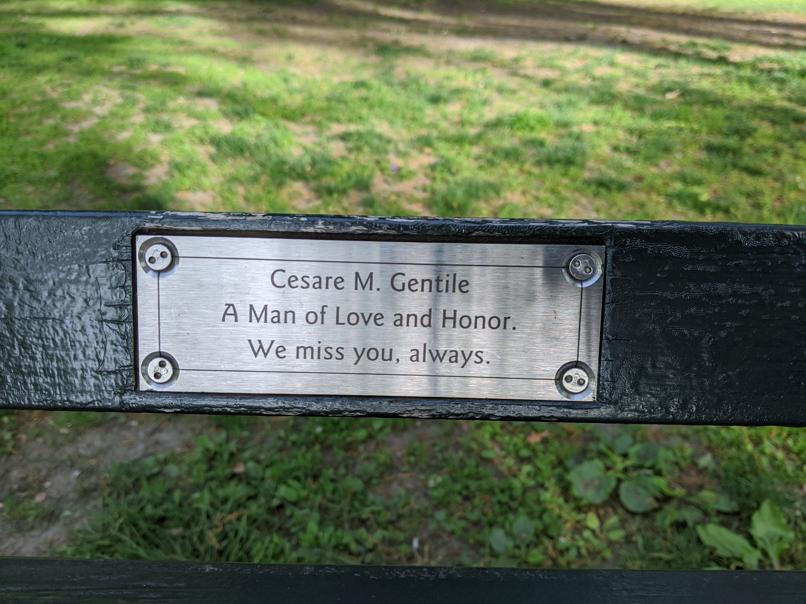 I saw this bench in Central Park