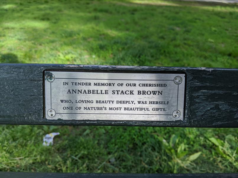 I saw this bench in Central Park