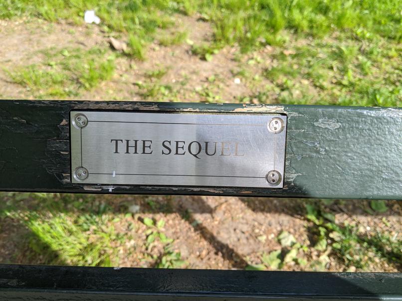 I saw this bench in Central Park