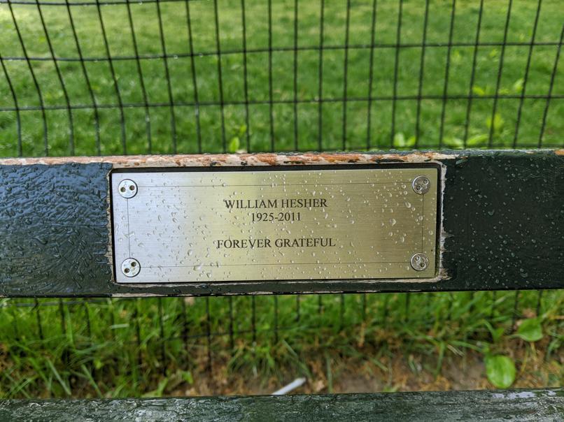 I saw this bench in Central Park