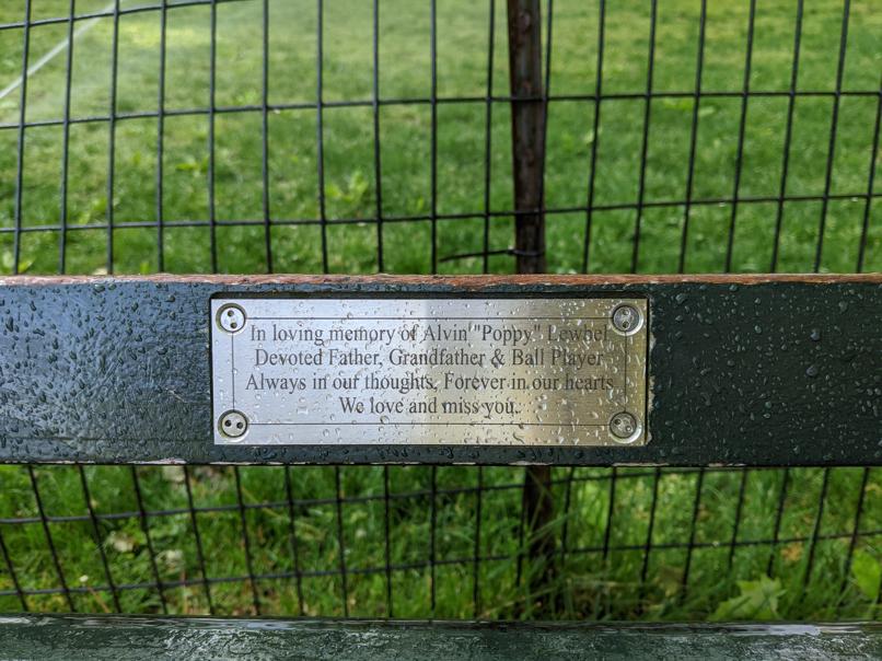 I saw this bench in Central Park