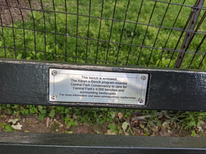 I saw this bench in Central Park