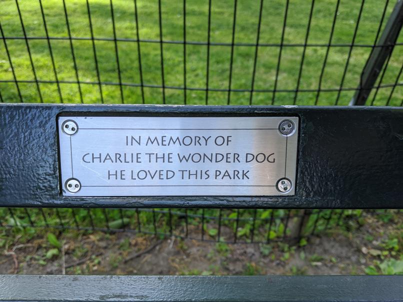 I saw this bench in Central Park