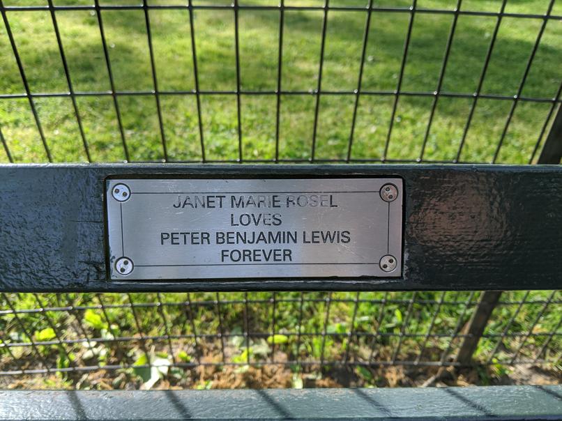 I saw this bench in Central Park