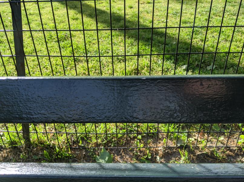 I saw this bench in Central Park