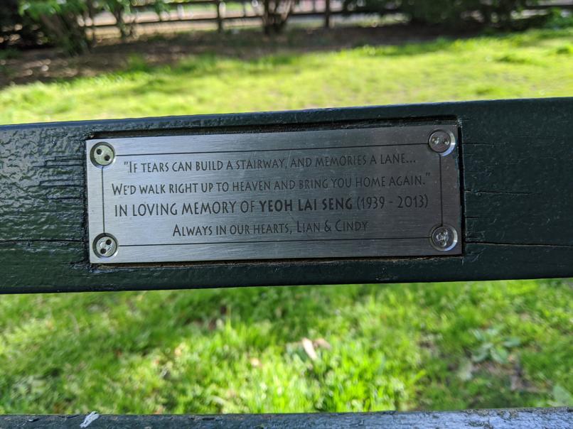 I saw this bench in Central Park