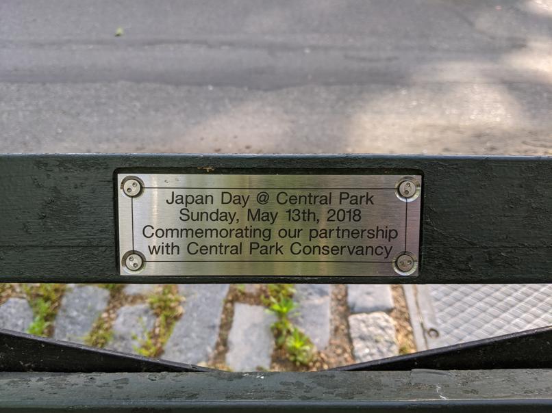 I saw this bench in Central Park