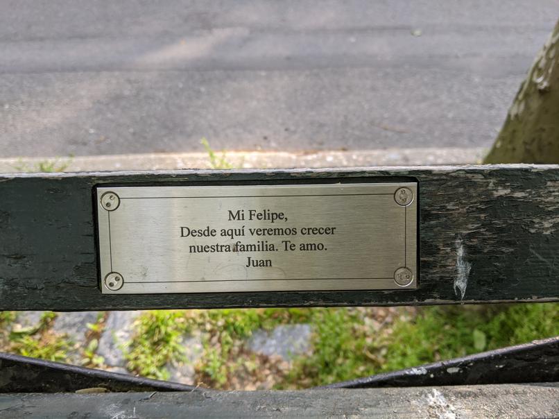 I saw this bench in Central Park