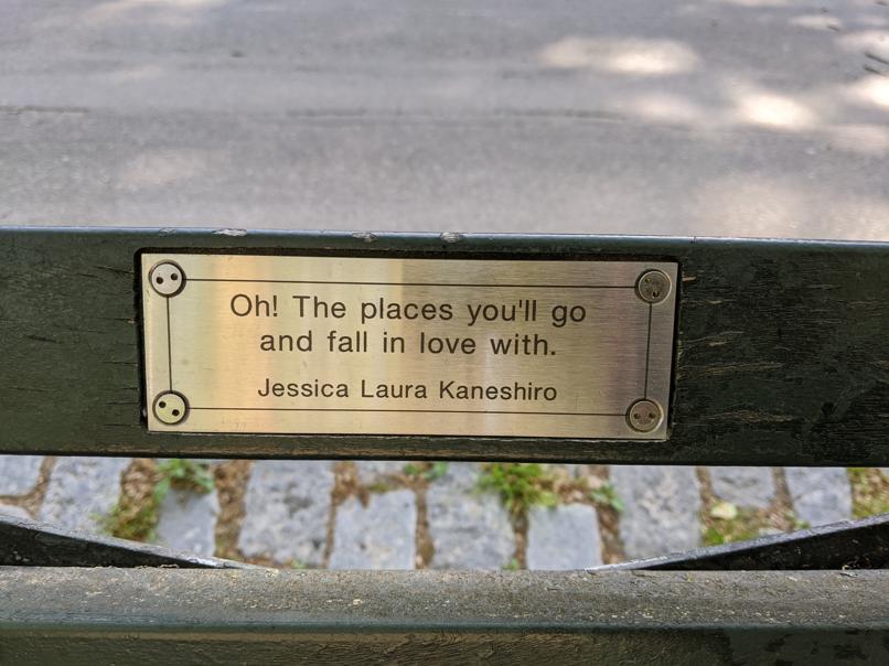 I saw this bench in Central Park