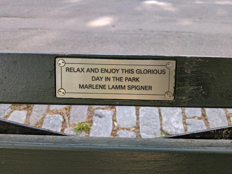 I saw this bench in Central Park