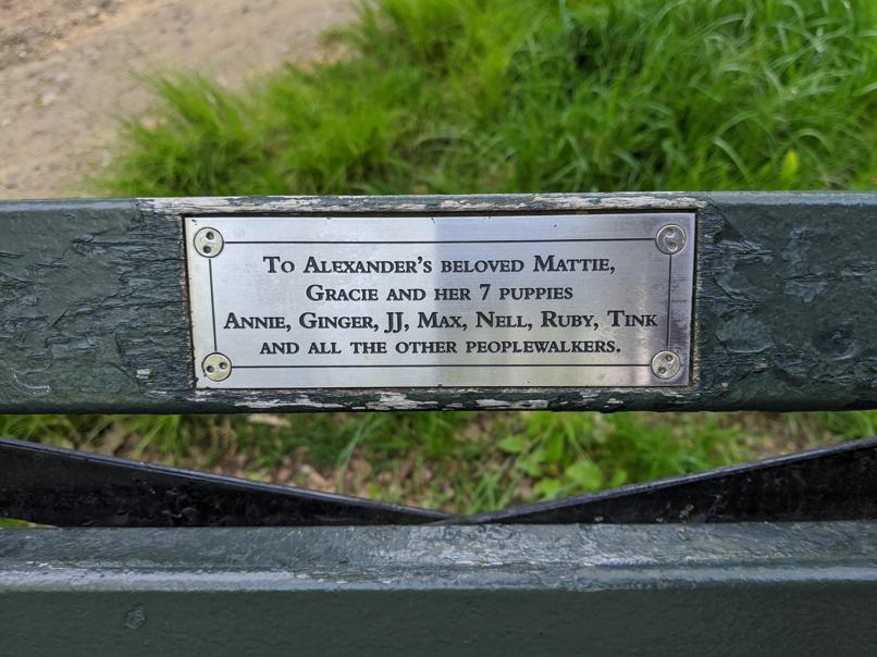 I saw this bench in Central Park