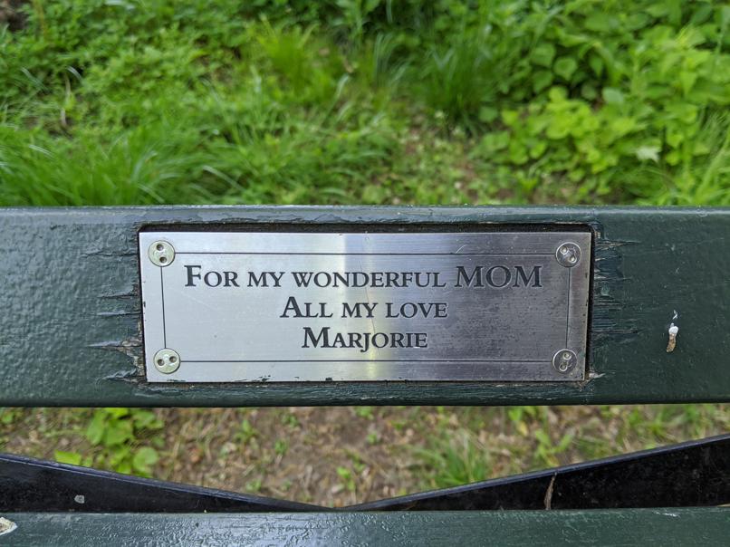 I saw this bench in Central Park